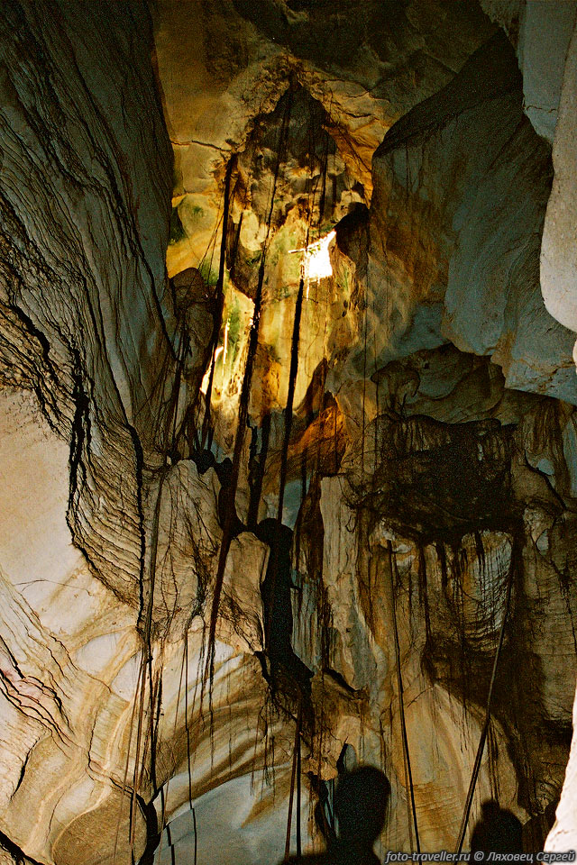 Из дырок в потолке свисают канаты лиан,
которые находят себе питание в полу пещеры.