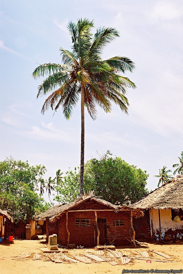Типичное жилище рыбаков в деревне Тонгони