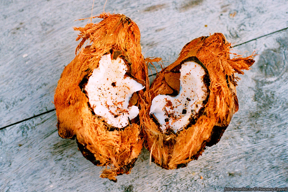 Добраться до содержимого кокосового ореха не просто