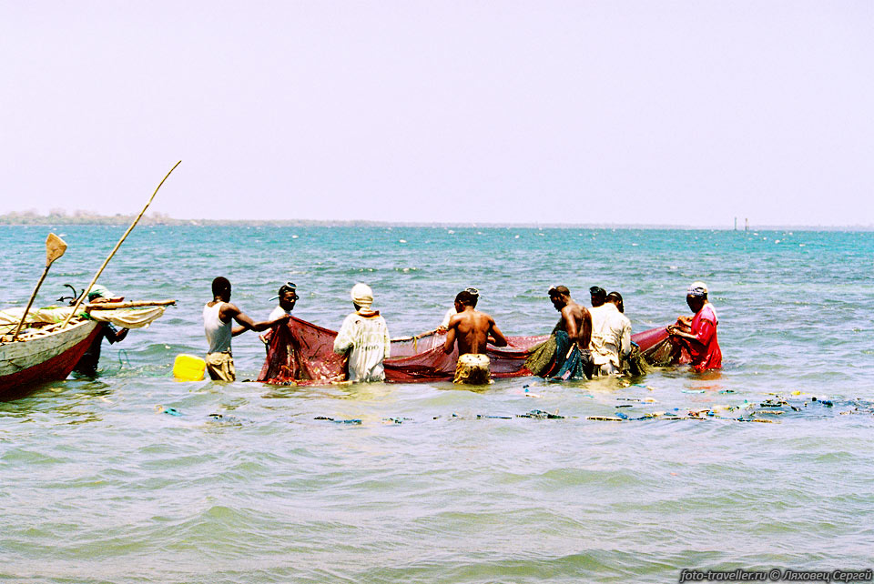Рыбаки поднимают свой улов и выворачивают в лодку
