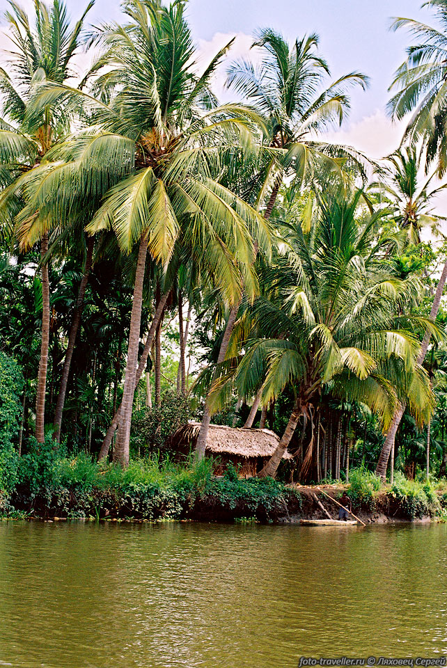 Домик собирателя кокосов.