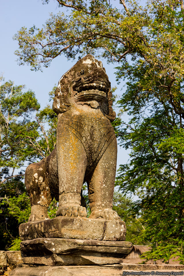 Изваяние льва на платформе в храме Сра Сранг (Srah Srang).
Сра Сранг представляет собой огромное озеро (700х300 м) с террасой и ступенями.
Этот буддистский храм был построен в конце 12 века в архитектурном стиле Байона.
Вероятно, этот храм был возведен в честь бога любви Камы.