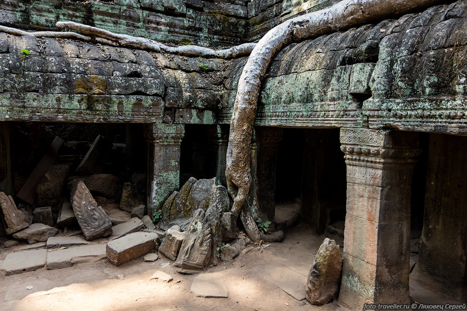 Та Пром является одним из самых больших монументов храмового комплекса 
Ангкор.
 Комплекс включал в себя 260 золотых статуй, 39 башен и 566 жилищ.
Та Пром состоит из нескольких строений, находящихся на одном уровне и окруженных 
латеритовой стеной (600х1000 метров),
от которой мало что осталось. В центр храма ведут башни, соединенные проходами.
Проходы в храме довольно запутаны и в некоторых местах из-за узости ходов возникают 
заторы.