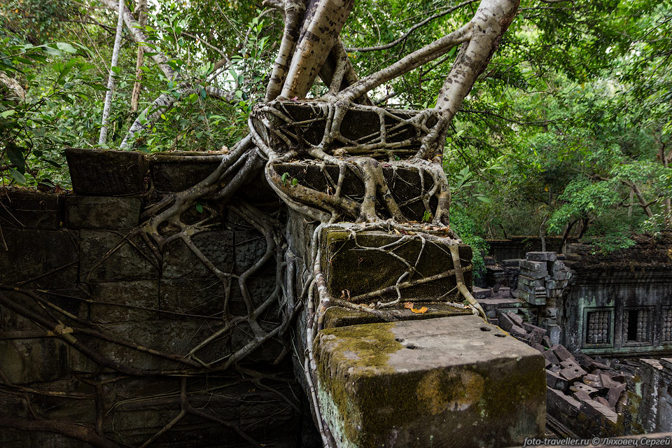 Компания, управляющая активами археологического парка Ангкор, 
является акционерным обществом,
80% акций которого принадлежат вьетнамской компании. Так что деньги от Ангкора уходят, 
в основном, во Вьетнам.