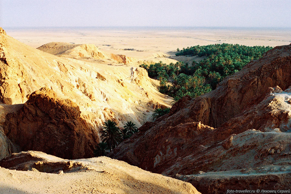 Ущелье с источником, из которого в пустыню выползает язык зелени 
- оазис Чебика. 
За оазисом бескрайняя пустыня.