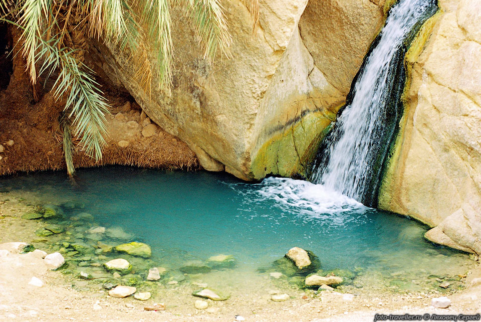 Озерцо с водопадом, окруженное пальмами.
Веет приятной прохладой.