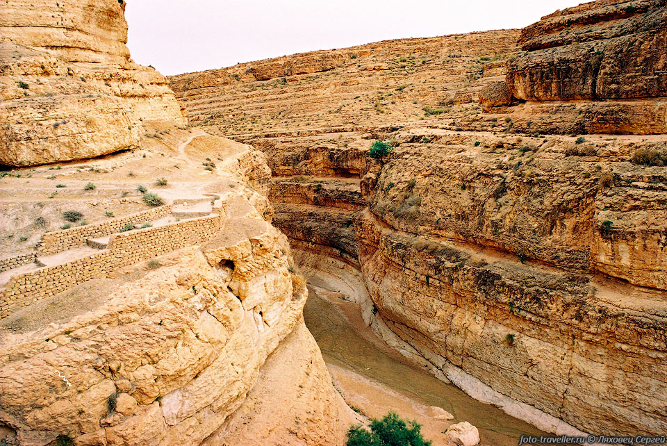 Вид каньона с края обрыва в оазисе Мидес