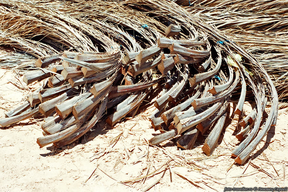 Срезанные и сложенные для использования сухие листья пальм