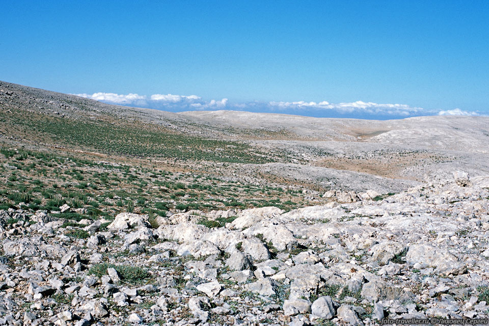 Камни и колючая трава - типичные пейзажи Аладаглара