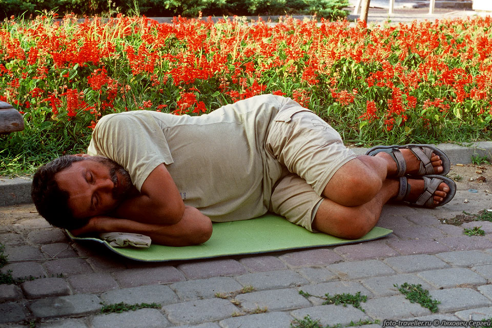 Так спят ученые мужи УСА
на тротуаре в Стамбуле.