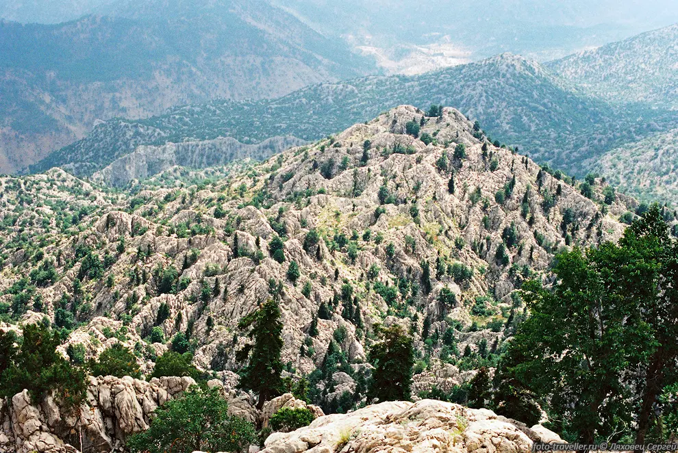 Панорама.
Высоченные сосны, еле выглядывают из воронок-кратеров.