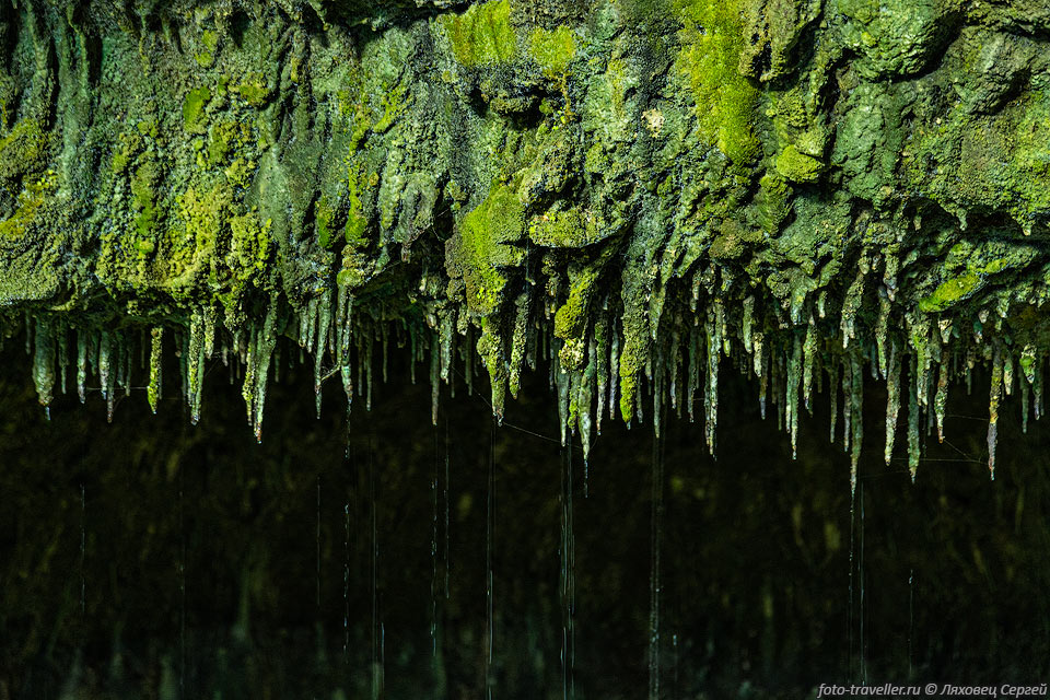Зелёные сталактиты в пещере Каклик.
Пещера образовалась около 2,5 миллионов лет назад в результате растворения породы 
сернистыми термальными водами. 
