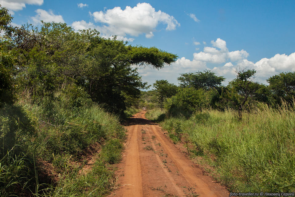 Дорога к Национальному парку Кидепо (Kidepo Valley National 
Park) через восточные ворота.
В Уганде есть несколько интересных национальных парков, в каждом есть что-то особенное.