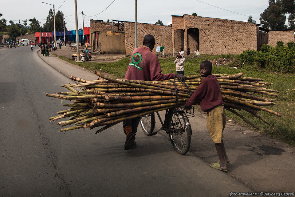 На велосипедах в Руанде возят большие различные грузы - то жерди 
из бамбука, то гору бананов, что велосипеда не видно