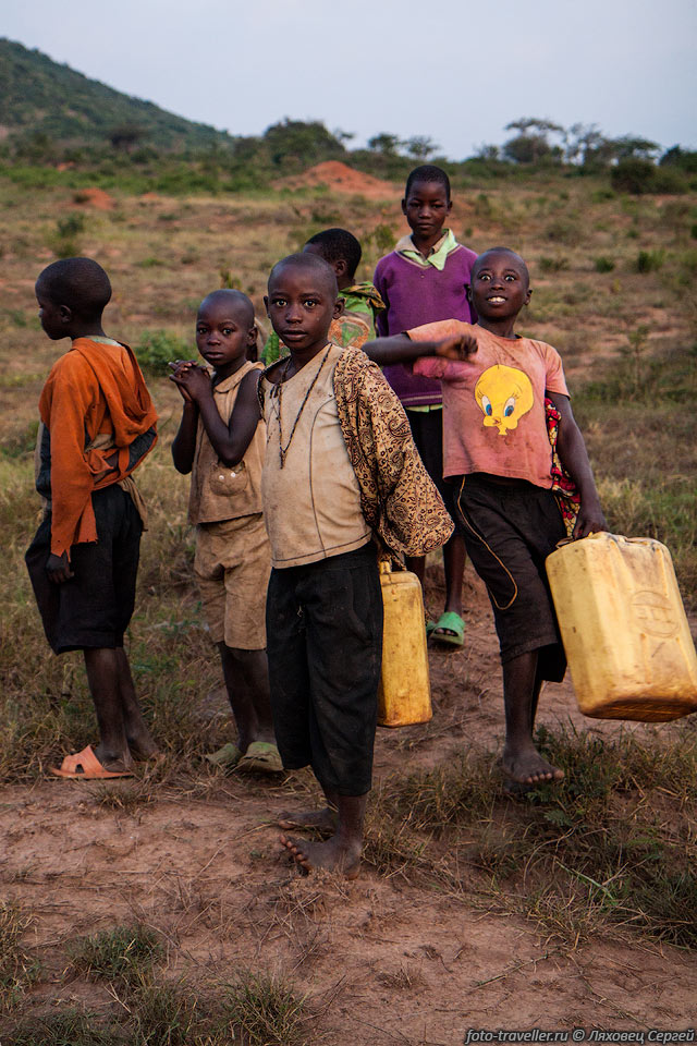 Численность населения Руанды более 12 млн. человек.
Этнический состав - хуту (банту) 84%, тутси (хамиты) 15%, тва (пигмеи) 1%.
Религии - католики (49,5 %), протестанты (43,4 %), мусульмане (1,8 %). 