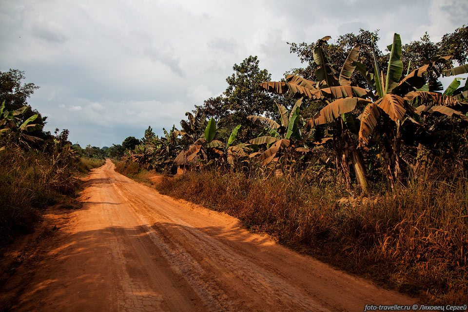 К болоту Мабамба идет пыльная дорога