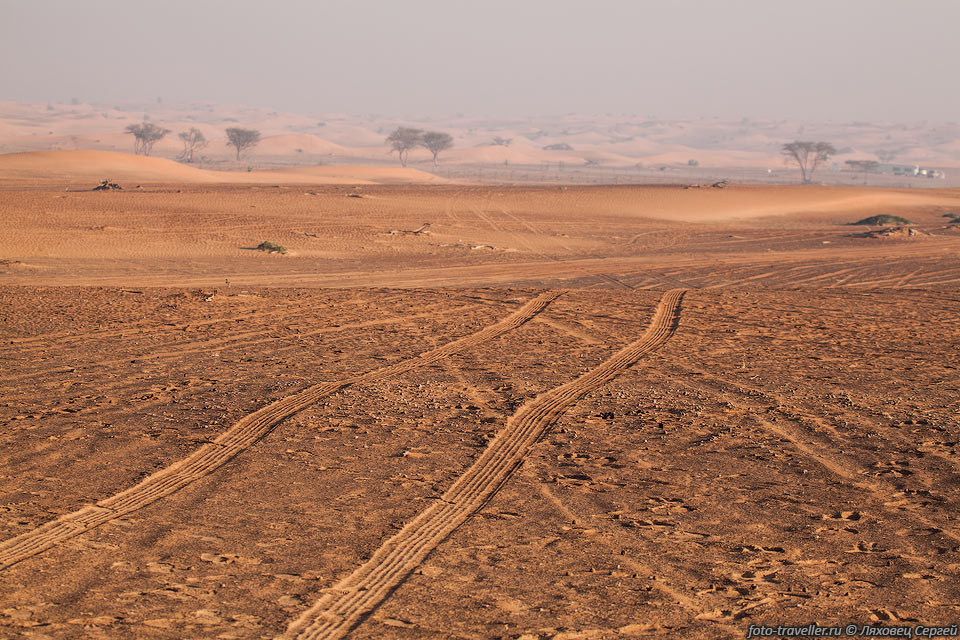 Большую часть территории ОАЭ занимает пустыня Руб-эль-Хали - самая 
большая в мире область, покрытая песком.
Горный рельеф характерен для северных и восточных регионов страны.