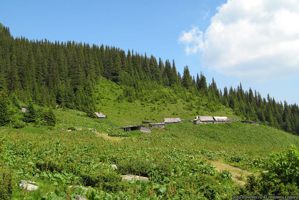 Домики на склоне горы Петрос (2020,2 м) - четвертой по высоте 
вершине Украинских Карпат. 
