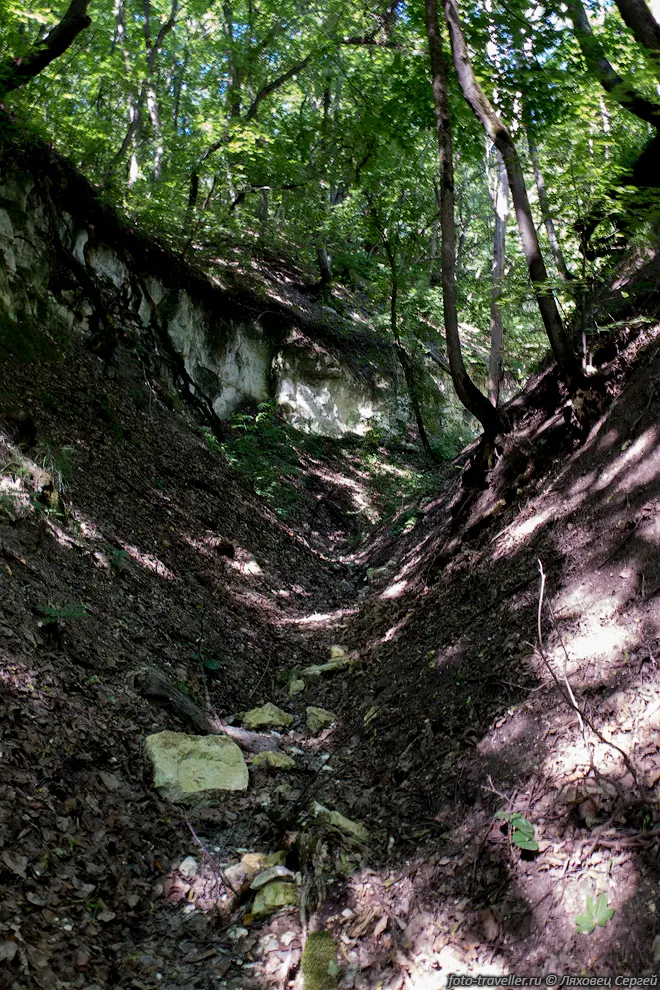 Рядом есть каньон, плотно заросший лесом и с множеством комаров