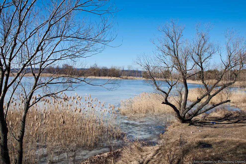 Берег Печенежского водохранилища