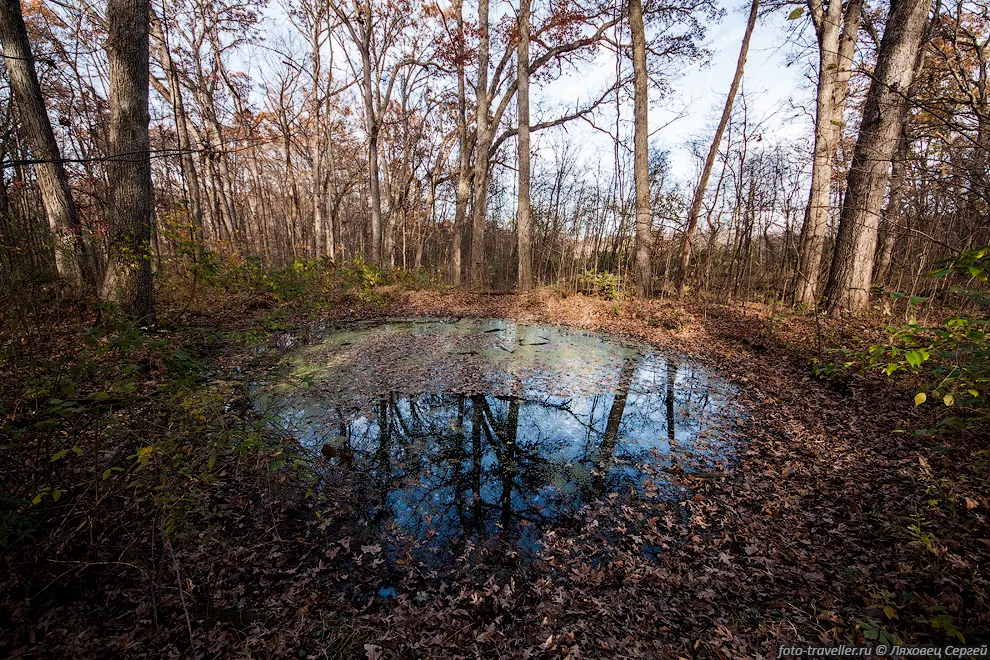 Маленькое озеро в лесу
