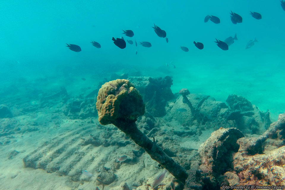 Остров Санто, благодаря затопленным кораблям и рифам,
является популярным объектом дайвинга и ныряния с маской