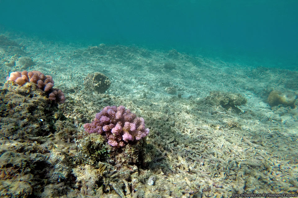 Все подводные фотографии сделаны на GoPro 3