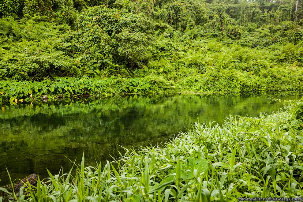 Речка Лембол (Lembol River), вытекающая из озера Летас
