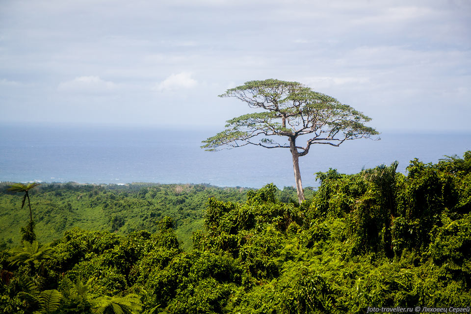 Тропические джунгли острова Гауа