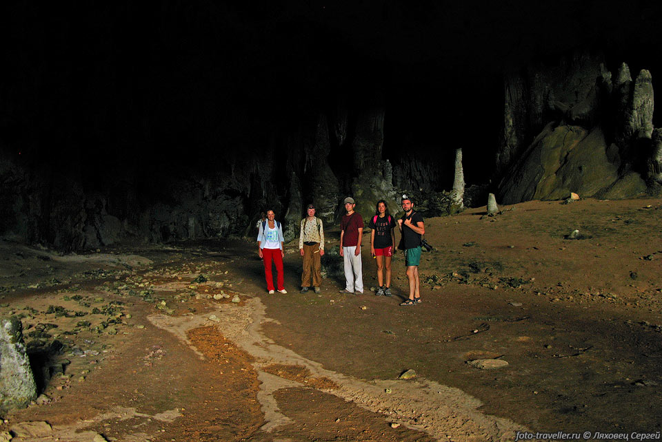 В пещерах Сокотры обитает всякая необычная живность.